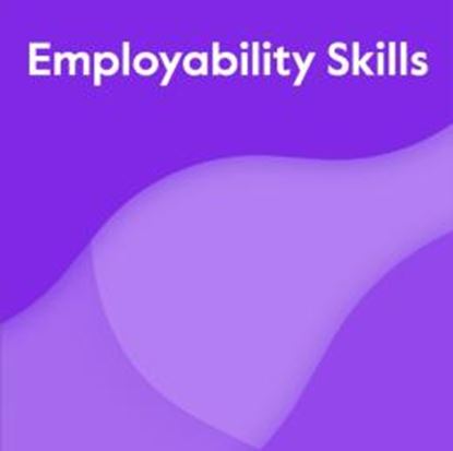 Imagem de EMPLOYABILITY SKILLS - MODULE
